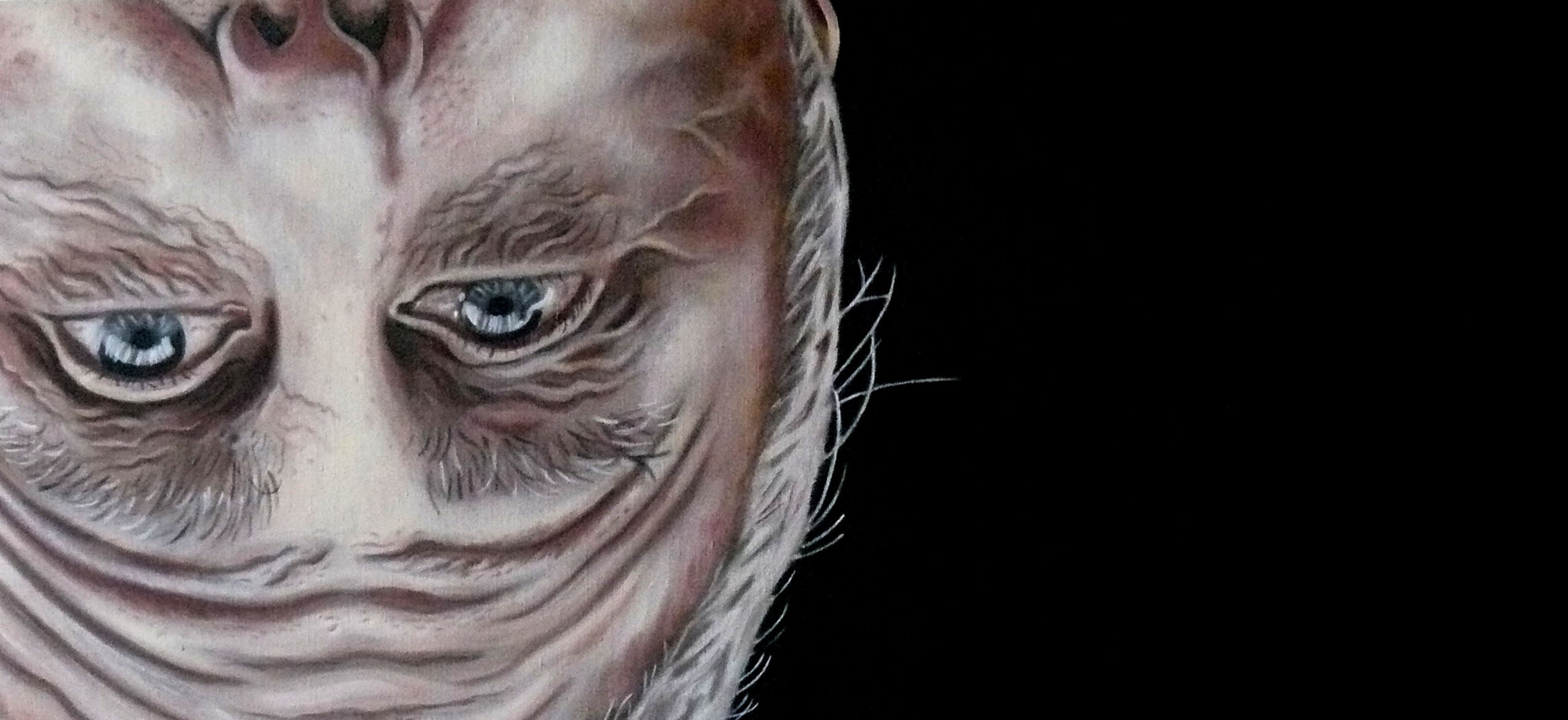 Inverted Johan 1 Oil on Linen 2015